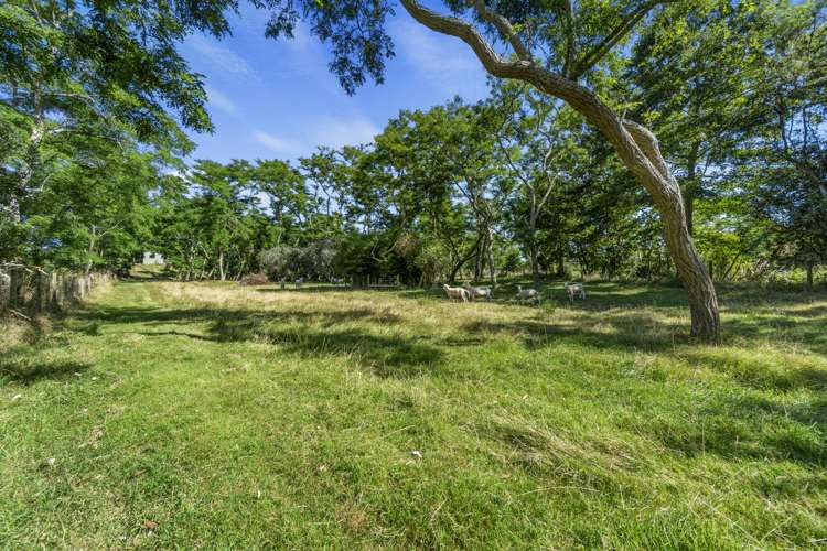 1 Paratu Road Richmond Downs_25