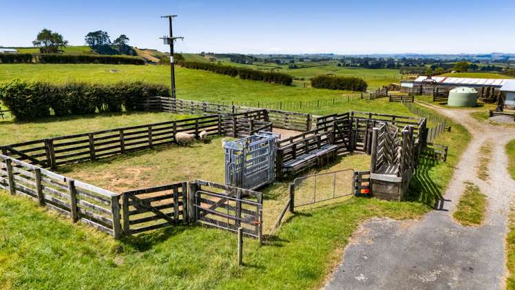 4019 Mountain Road Stratford_5