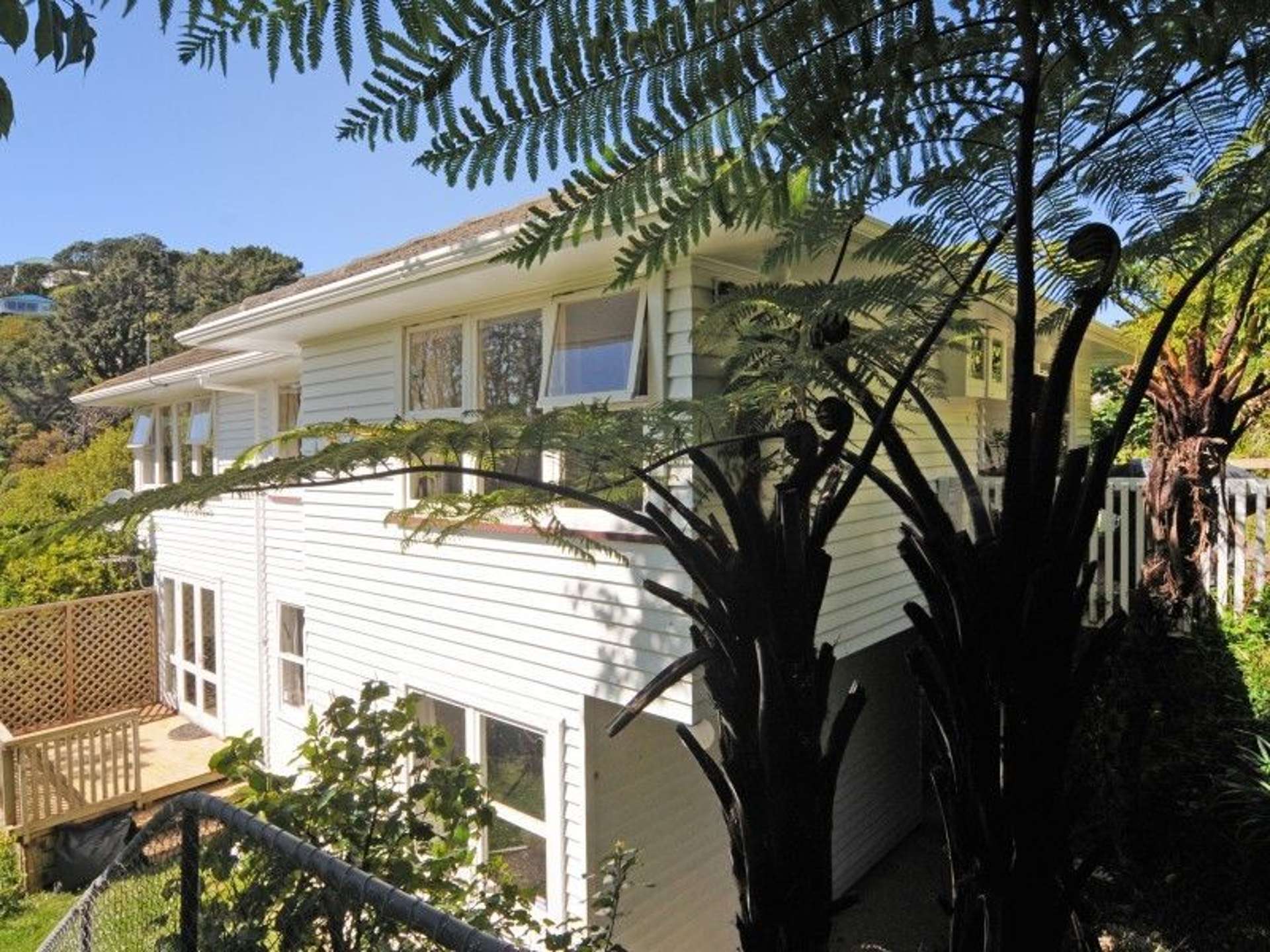 18 Buchanan Street Wadestown_0