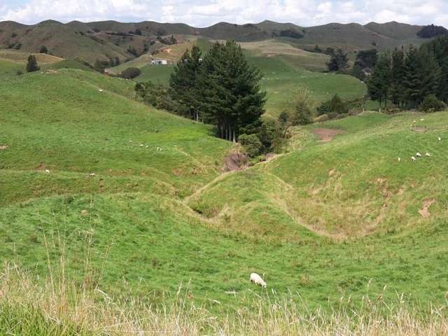 446 Stanley Road Te Popo_3