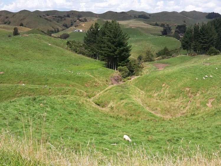 446 Stanley Road Te Popo_3