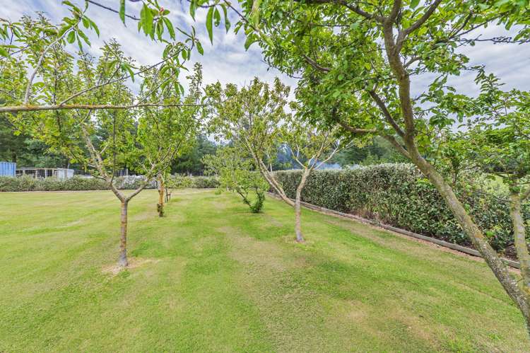 Address withheld Dunsandel_32