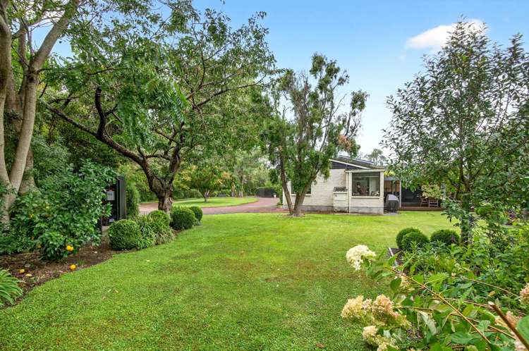 59 Wood Street Greytown_32