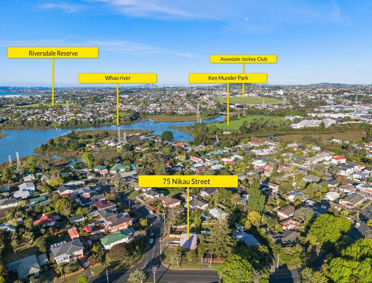 75 Nikau Street New Lynn_18