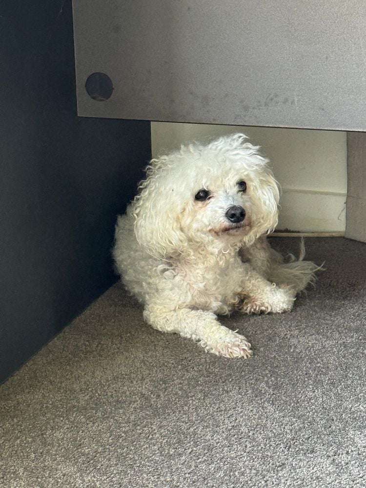 Address withheld Glenbervie_19