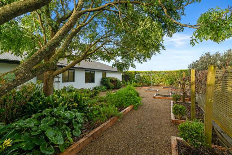 383 Martin Road Te Kauwhata_29