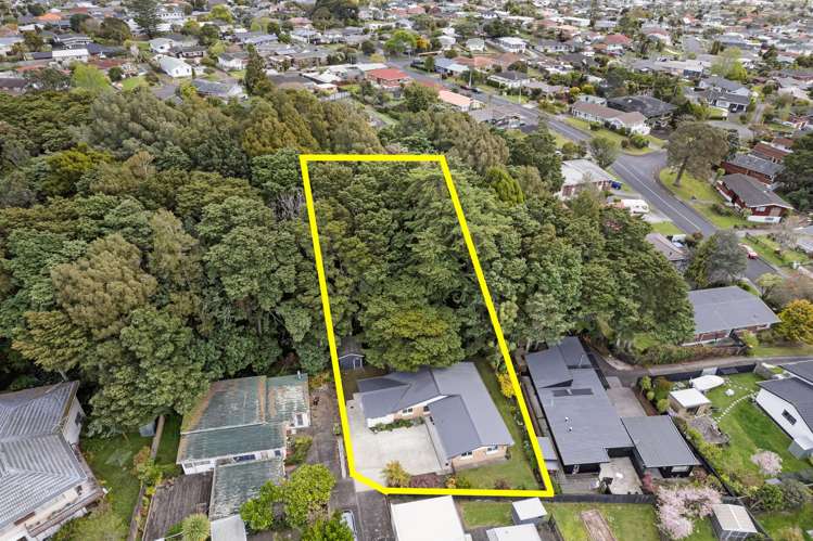 67 David Avenue Hillpark_10