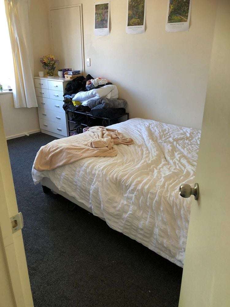 88 Creyke Road Ilam_6