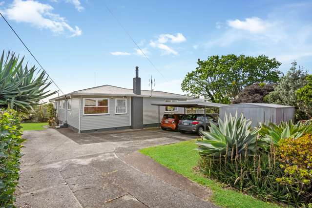 12 Taupo Street Green Bay_1