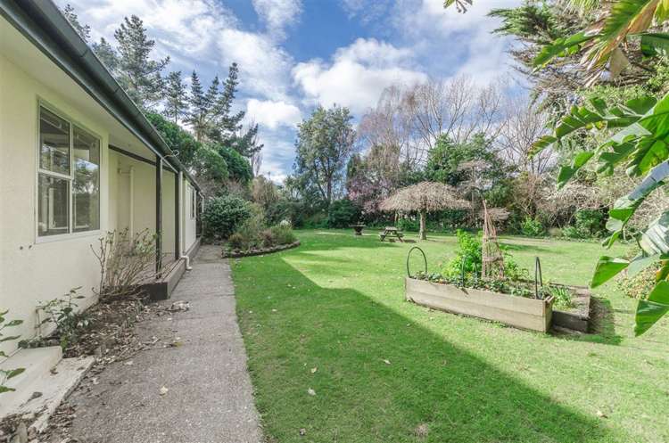 32 Peka Peka Road Peka Peka_20