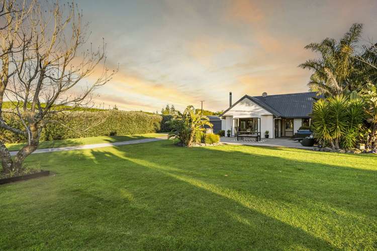 233 Ross Road Whakamarama_19