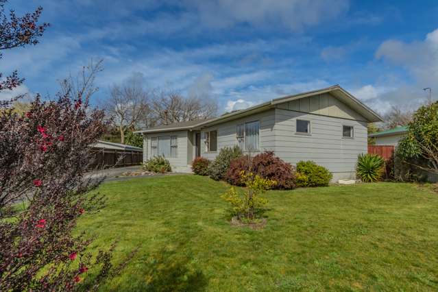 19 Strathmore Avenue Levin_2