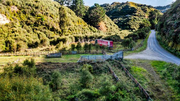 1519 Tangahoe Valley Road Hawera_13