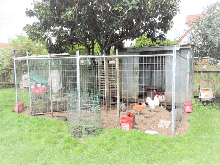 119 Harris Street Huntly_31