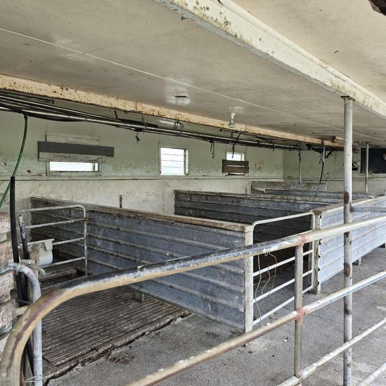 146 Victoria Road Stratford_8