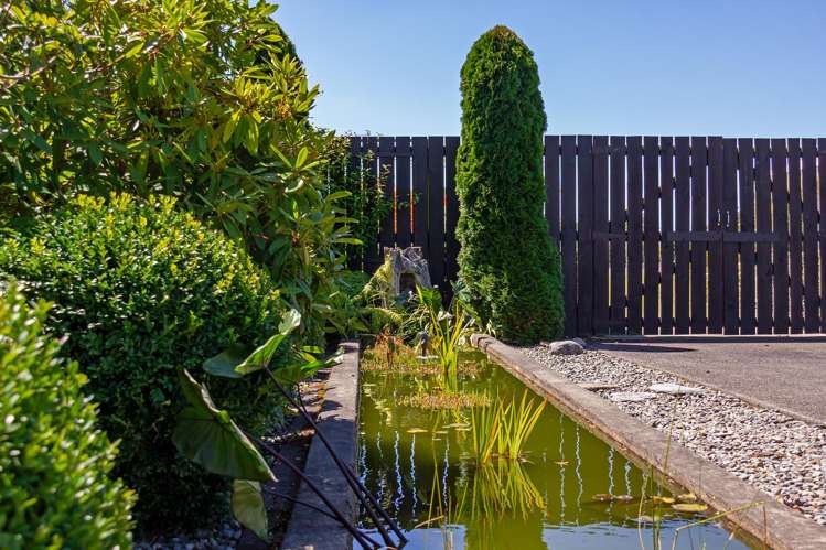 7 Francis Lane Masterton_13