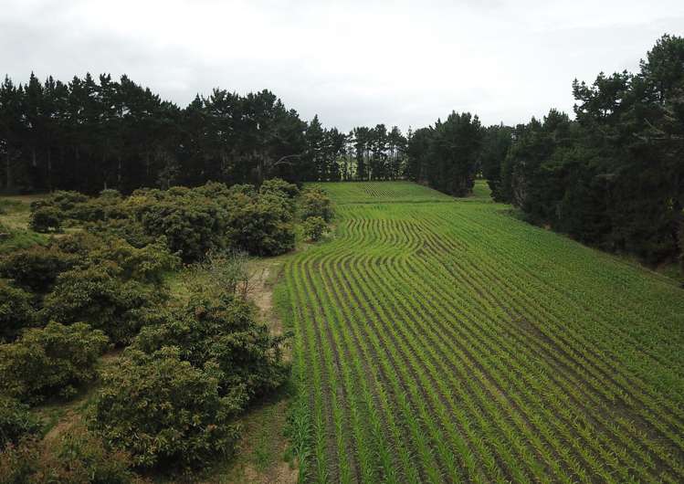 Journeys End Tapora_4