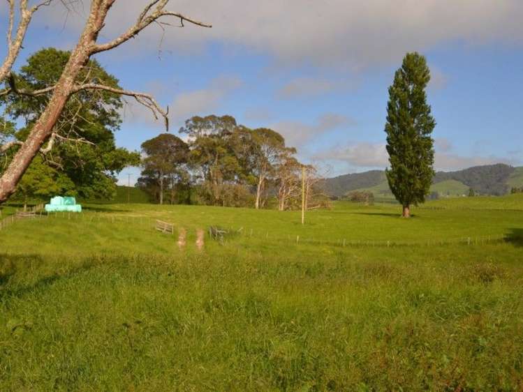 1035 Bayley Road Wharepuhunga_18