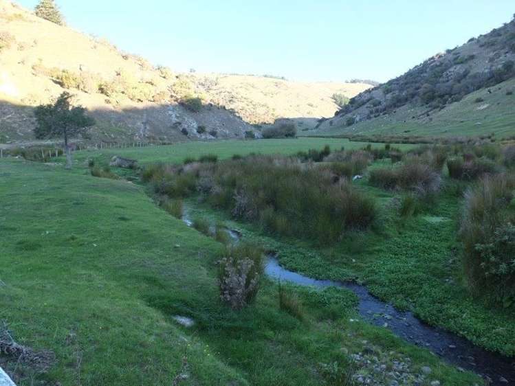 831 Chorlton Road Little Akaloa_13