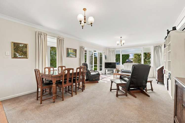 17 Hamilton Avenue Ilam_9