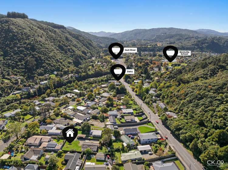 15B Black Beech Birchville_8