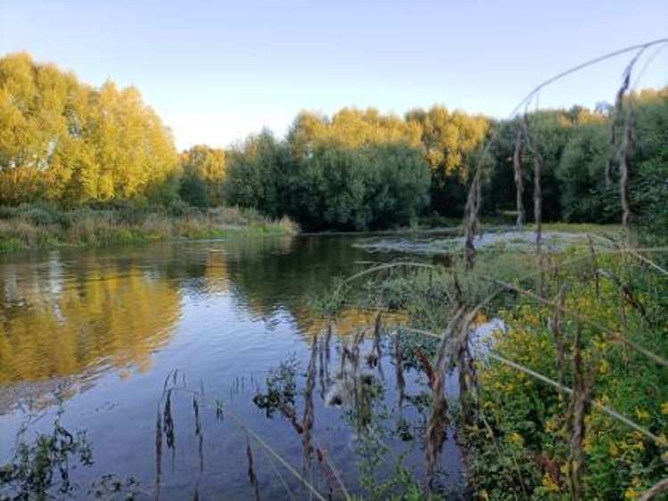 812 Hakataramea Valley Road Hakataramea Valley_10