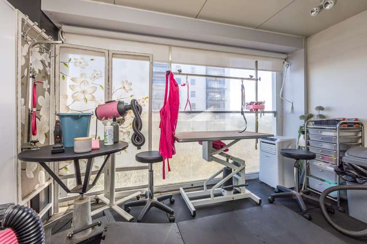 602/5 Howe Street Freemans Bay_6