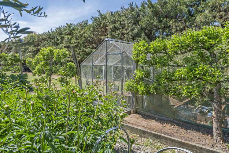 1103 Downs Road West Eyreton_40