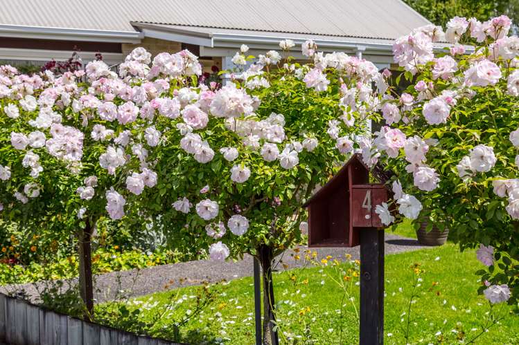 4 Orchard Road Greytown_19