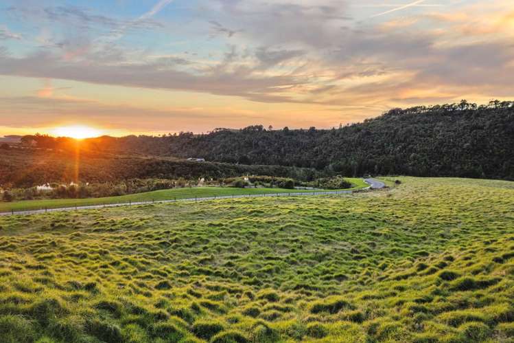 54 Mokoroa Valley Road Waitakere_12