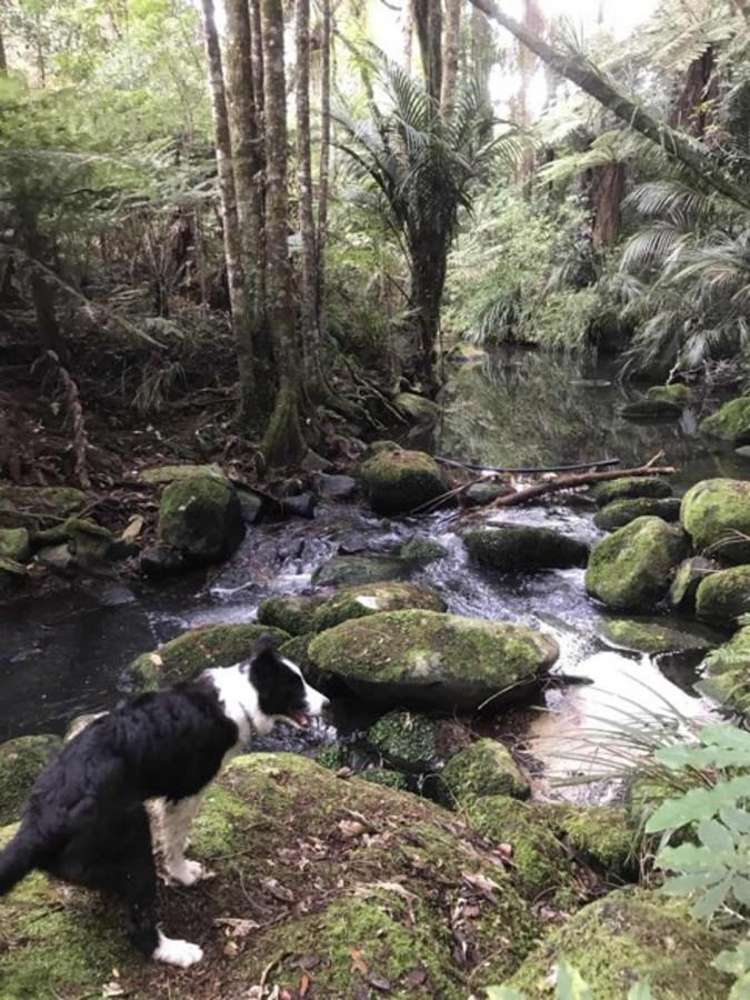 409 Puketotara Road Kerikeri_31