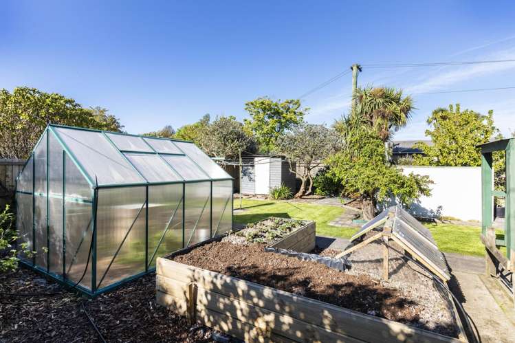 28 Conway Street Somerfield_18