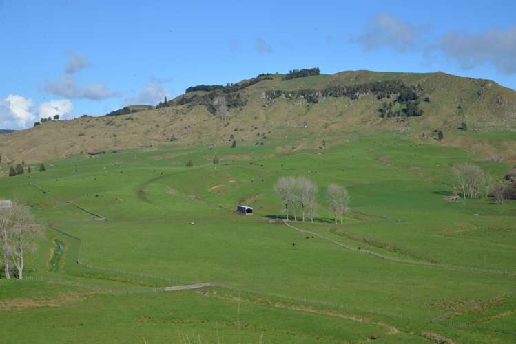 220 Tikitiki Road Te Kuiti_4