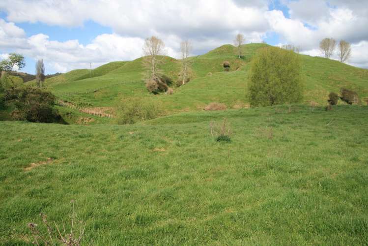 19 Rimuputa Road Tahora_25