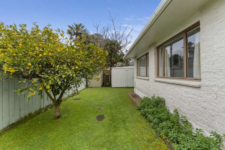 39A Macarthur Street Levin_16