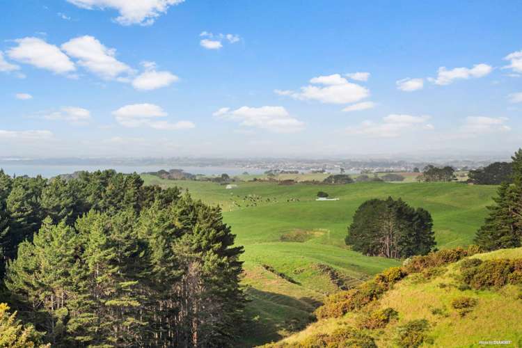 48 Hatton Road Awhitu_5