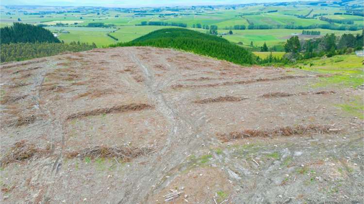 Fletcher Road, Table Hill Milton_4