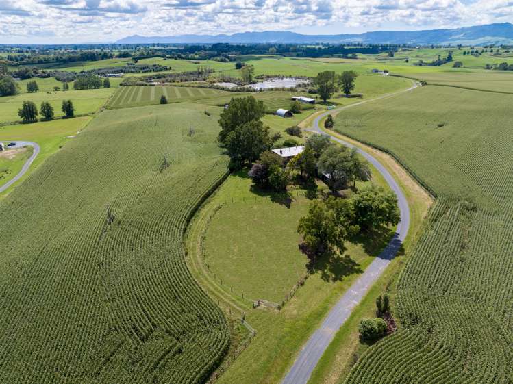 246 Lake Road Hauraki Surrounds_8