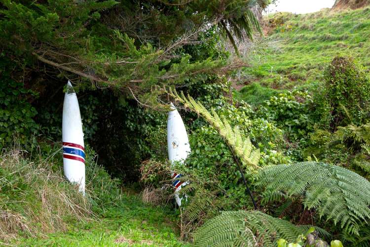 456 Barrett Road Omata_31