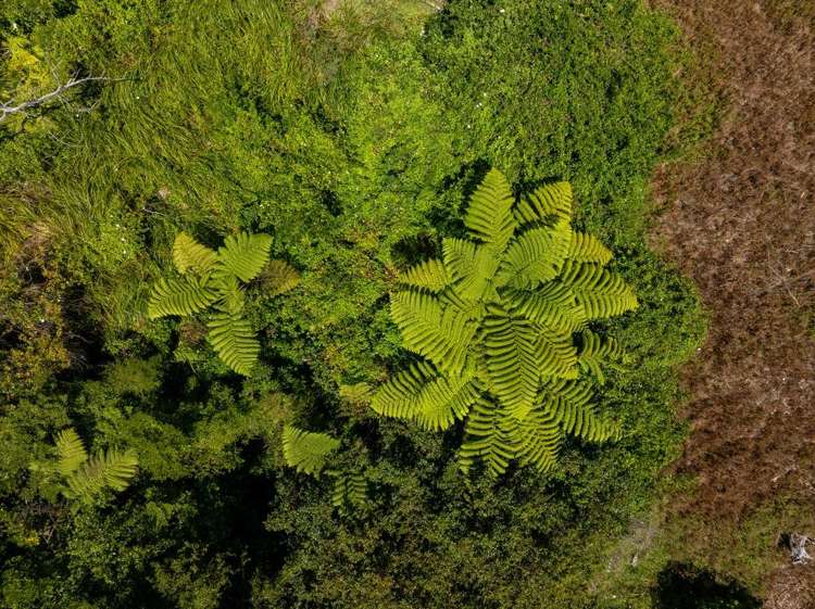 89 Matenga Road Ligar Bay_9