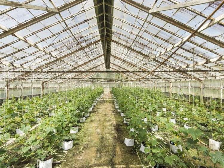 110 Walker Road Opaheke_2