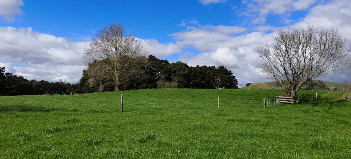 Lot 5/441 Kuranui Road_3
