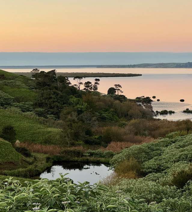 152 Turner Road Whakamarama_3