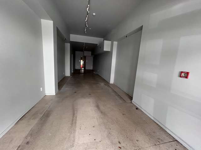 376 George Street Dunedin Central_2