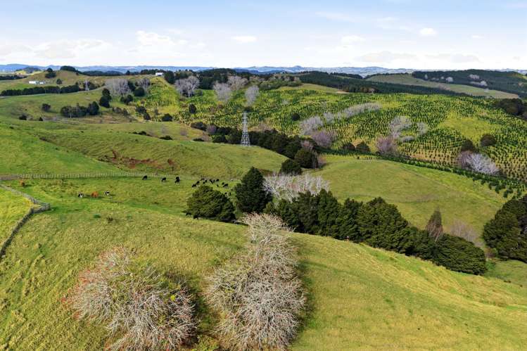 Lot 6 & 7 Otioro Road Topuni_3