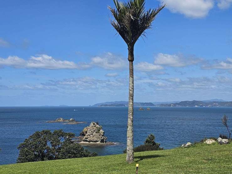 The sections at 216Q Matapaua Bay Road in The Glades, near Ōpito Bay are being sold