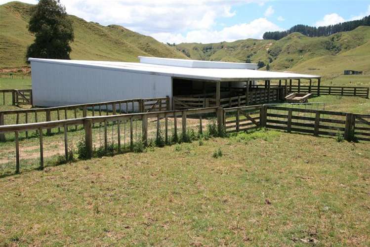 Walter Road Douglas_13