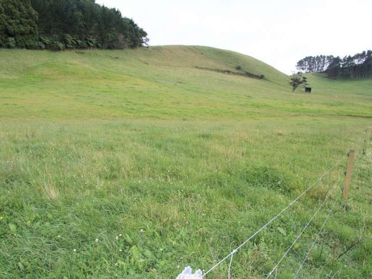 382 Awai Road Tarurutangi_23