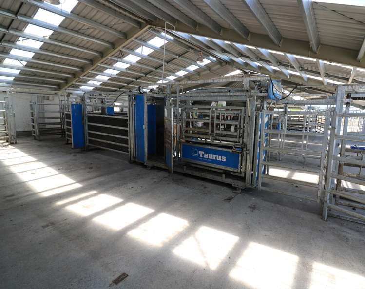 878 Downs Road Edendale_8