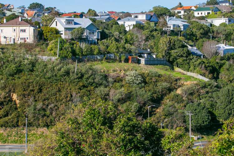 76 Curtis Street Northland_3